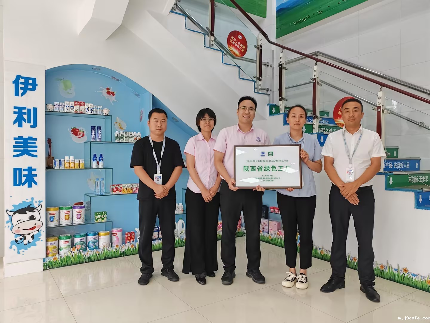 伊利11 伊利11.jpg