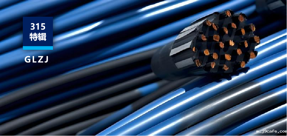 315揭秘“非标线”陷阱！伟德bv1946官网：一站式检测服务斩断非标线产业链