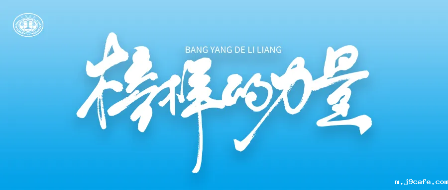 陈娇：精准检验的守护者，以专业筑就美好生活之基